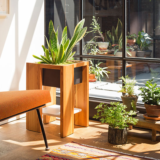 Box Table Series: Leon Plant Stand